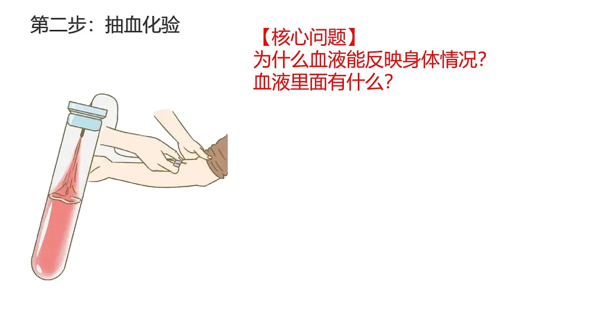 初中 生物 北师大版（2024）七年级下册4.7.1 血液 课件第4页