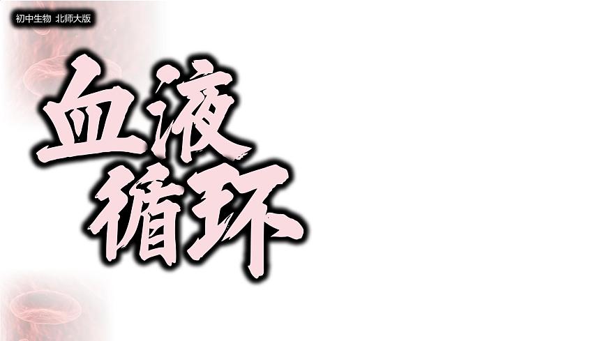 初中 生物 北师大版（2024）七年级下册4.7.2 血液循环 课件第1页