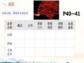 初中 生物 北師大版（2024）七年級下冊4.7.2 血液循環(huán) 課件