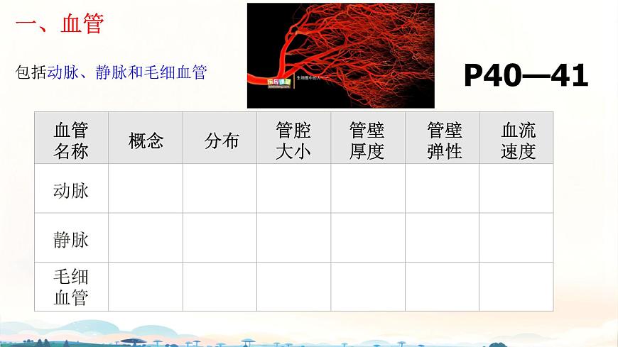 初中 生物 北师大版（2024）七年级下册4.7.2 血液循环 课件第3页