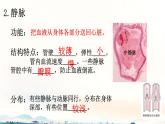 初中 生物 北師大版（2024）七年級下冊4.7.2 血液循環(huán) 課件