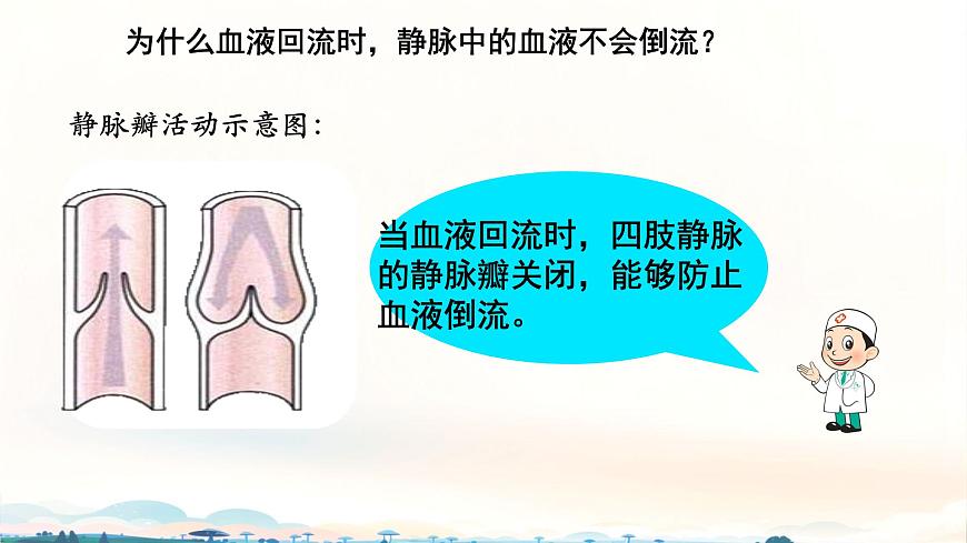 初中 生物 北师大版（2024）七年级下册4.7.2 血液循环 课件第6页