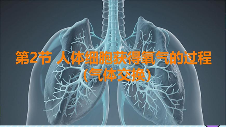 初中 生物 北师大版（2024）七年级下册4.8.2 人体细胞获得氧气的过程 课件第1页