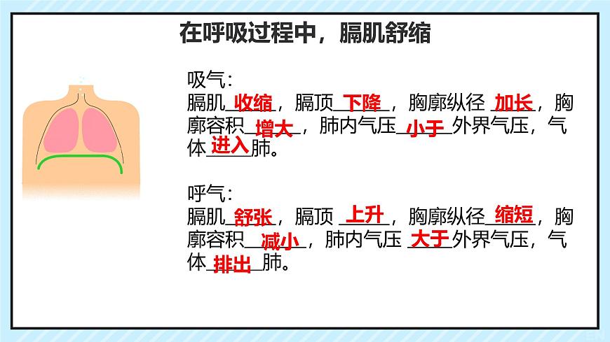 初中 生物 北师大版（2024）七年级下册4.8.2 人体细胞获得氧气的过程 课件第8页