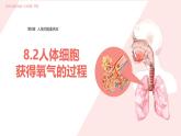 初中 生物 北師大版（2024）七年級(jí)下冊(cè)4.8.2 人體細(xì)胞獲得氧氣的過(guò)程 課件