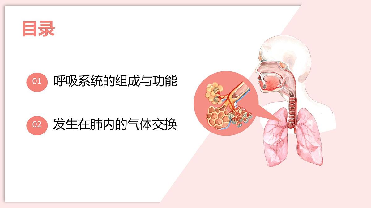 初中 生物 北师大版（2024）七年级下册4.8.2 人体细胞获得氧气的过程 课件第2页