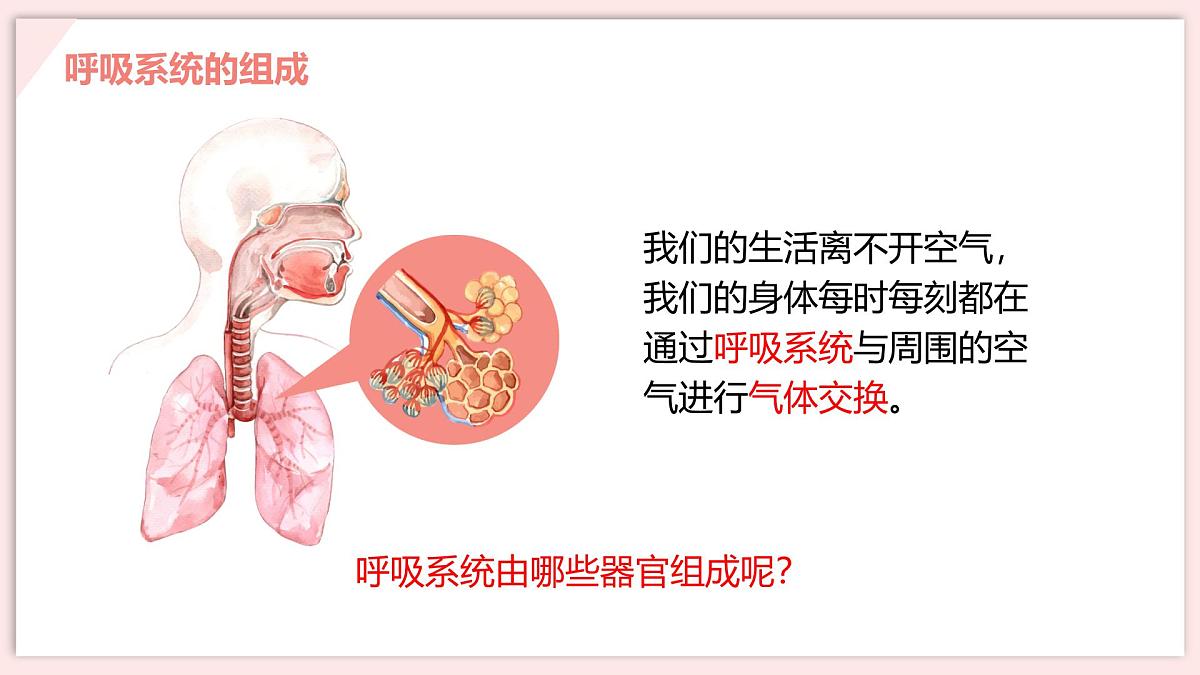初中 生物 北师大版（2024）七年级下册4.8.2 人体细胞获得氧气的过程 课件第6页