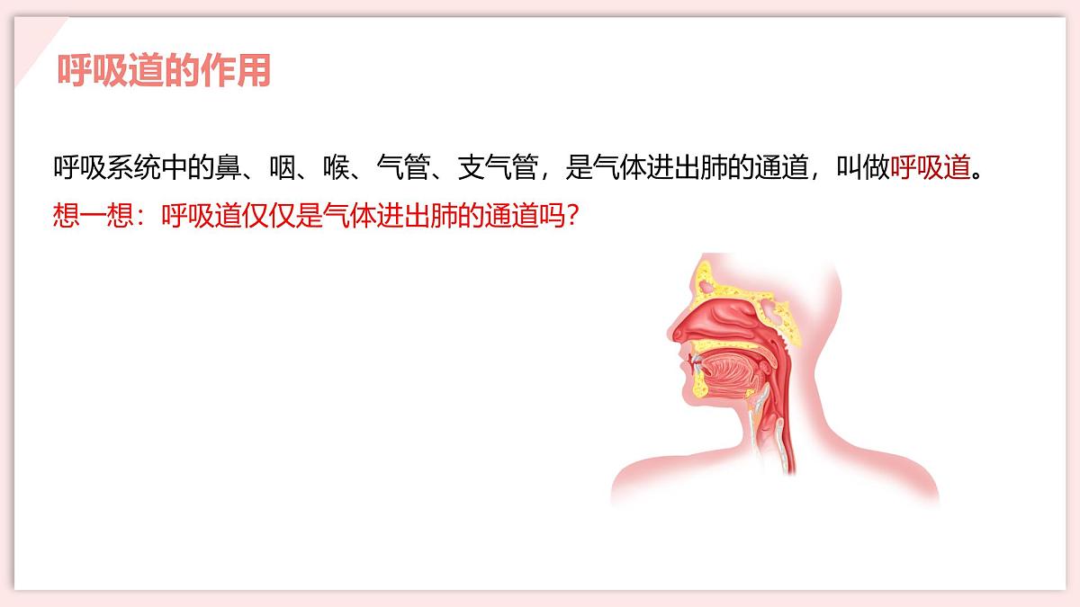初中 生物 北师大版（2024）七年级下册4.8.2 人体细胞获得氧气的过程 课件第7页