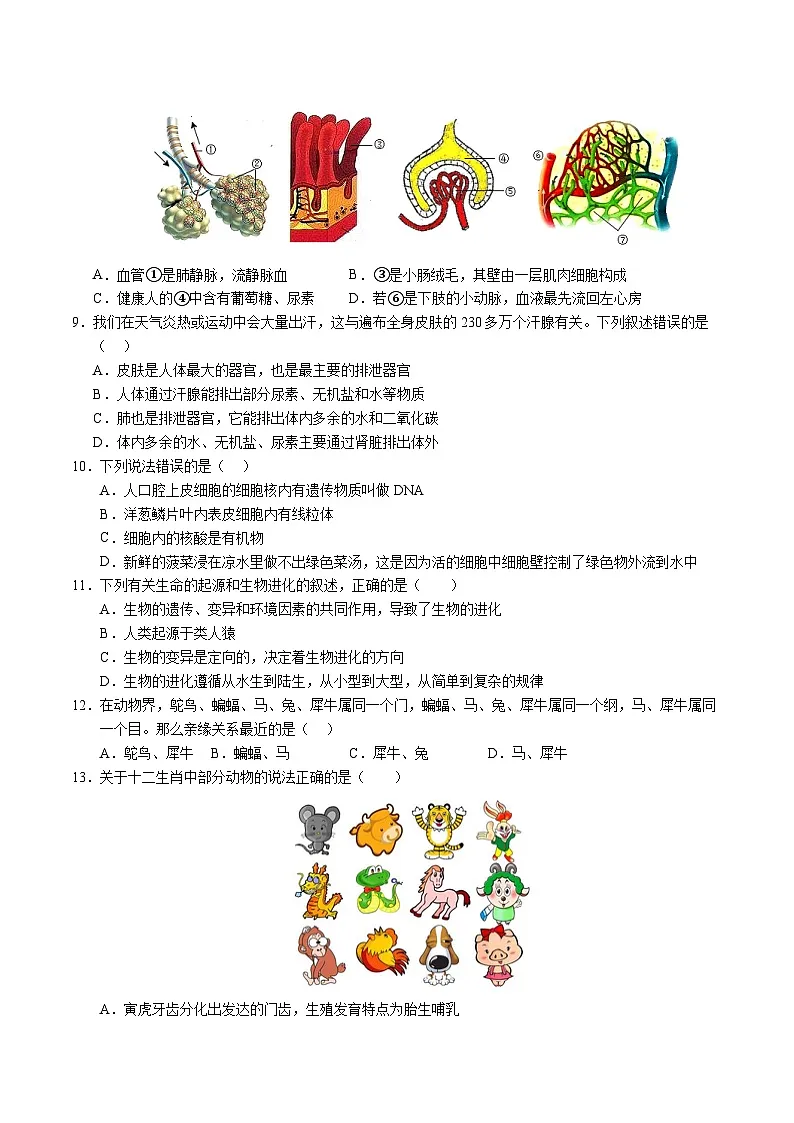 2025年中考第一次模拟考试卷：生物（宁夏卷）（原卷版）第2页