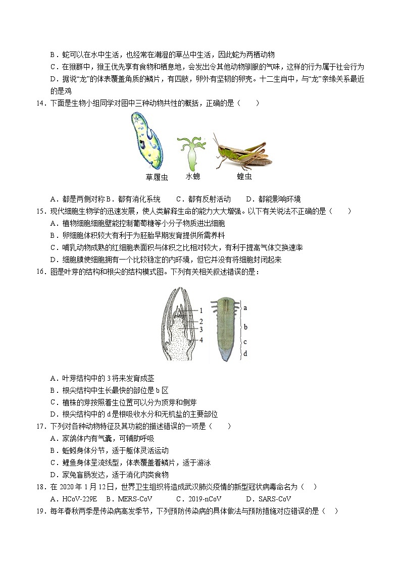 2025年中考第一次模拟考试卷：生物（宁夏卷）（原卷版）第3页