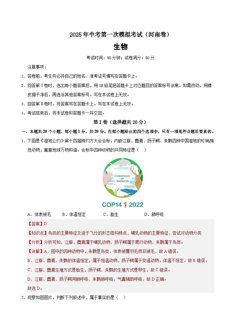 2025年中考第一次模拟考试卷：生物（河南卷）解析版第1页