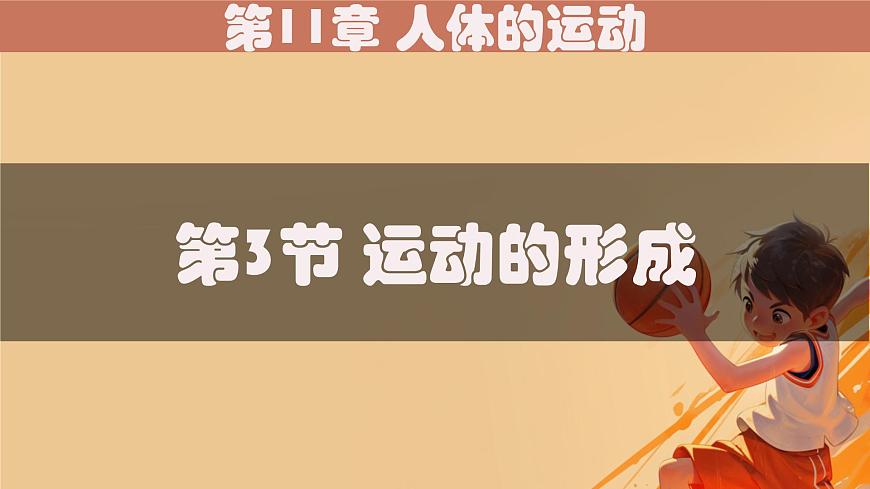 初中 生物 北师大版（2024）七年级下册4.11.3 运动的形成 课件第1页