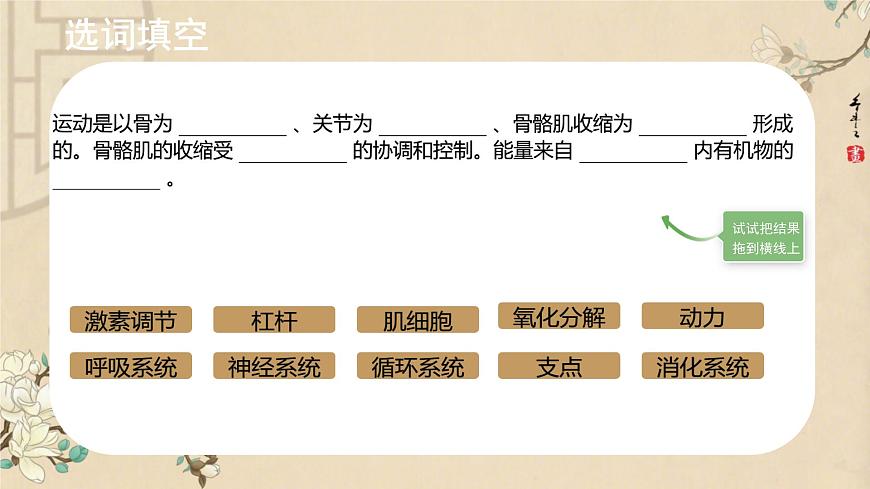 初中 生物 北师大版（2024）七年级下册4.11.3 运动的形成 课件第2页