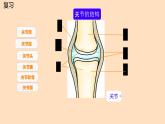 初中 生物 北師大版（2024）七年級下冊4.11.3 運動的形成 課件