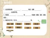 初中 生物 北師大版（2024）七年級(jí)下冊(cè)4.11.2 人體的骨骼肌 課件