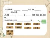 初中 生物 北師大版（2024）七年級下冊4.11.1 人體的骨骼 課件