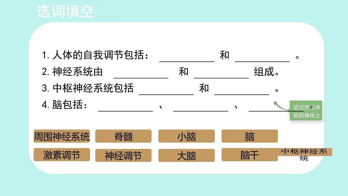 初中 生物 北师大版（2024）七年级下册4.10.1 神经系统与神经调节 课件第2页