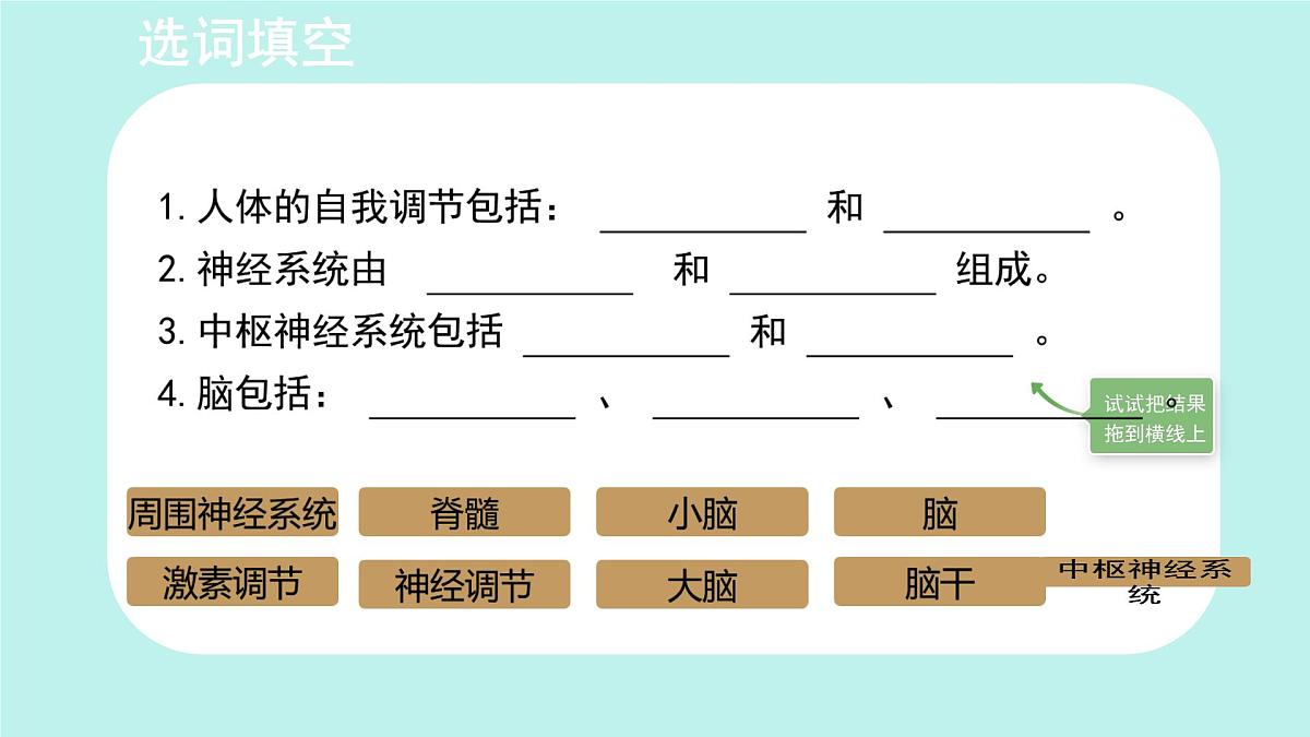 初中 生物 北师大版（2024）七年级下册4.10.1 神经系统与神经调节 课件第2页