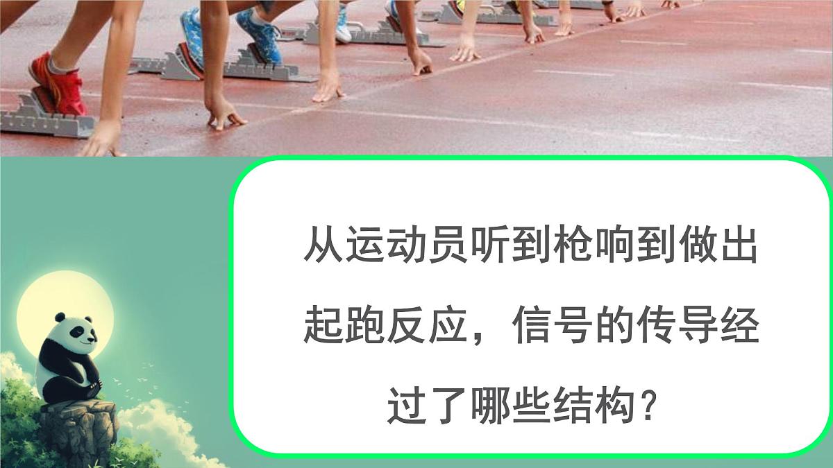 初中 生物 北师大版（2024）七年级下册4.10.1 神经系统与神经调节 课件第3页