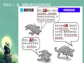 初中 生物 北師大版（2024）七年級下冊4.10.1 神經系統(tǒng)與神經調節(jié) 課件
