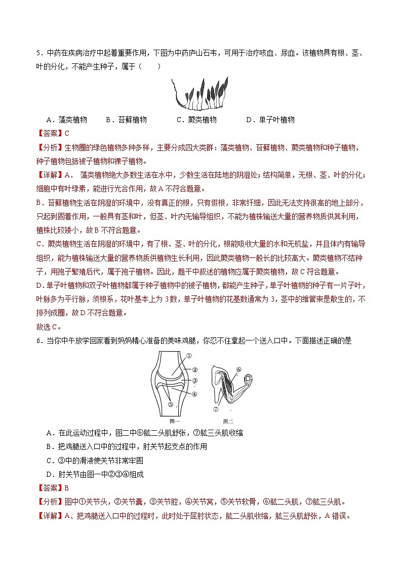 2025年中考第一次模拟考试卷：生物（安徽卷）（解析版）第3页