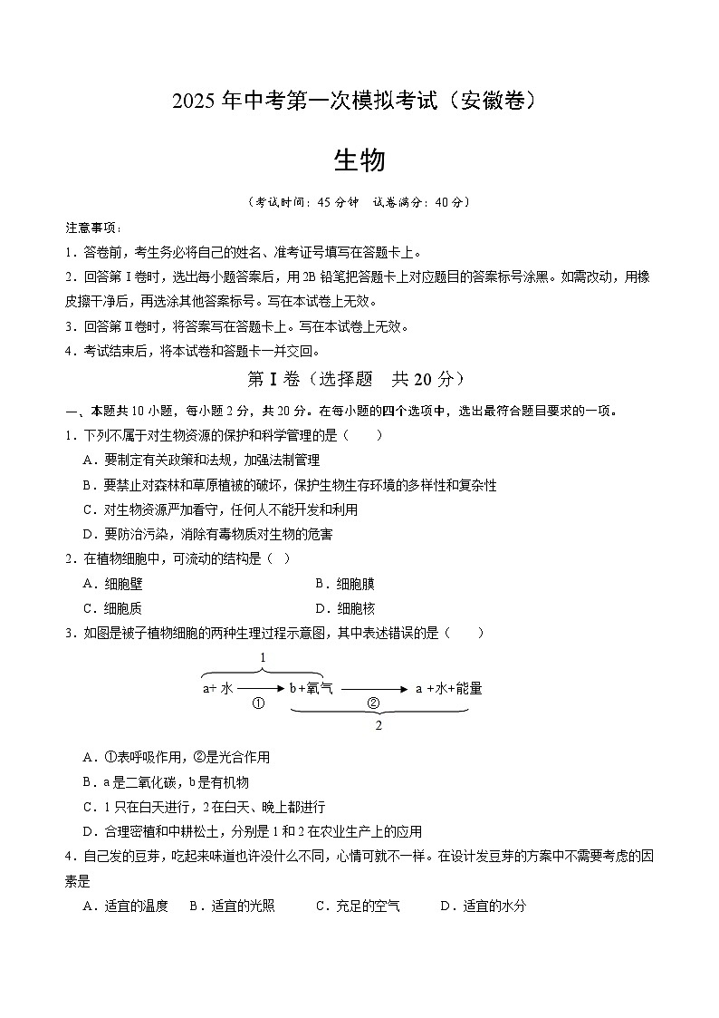 2025年中考第一次模拟考试卷：生物（安徽卷）（原卷版）第1页