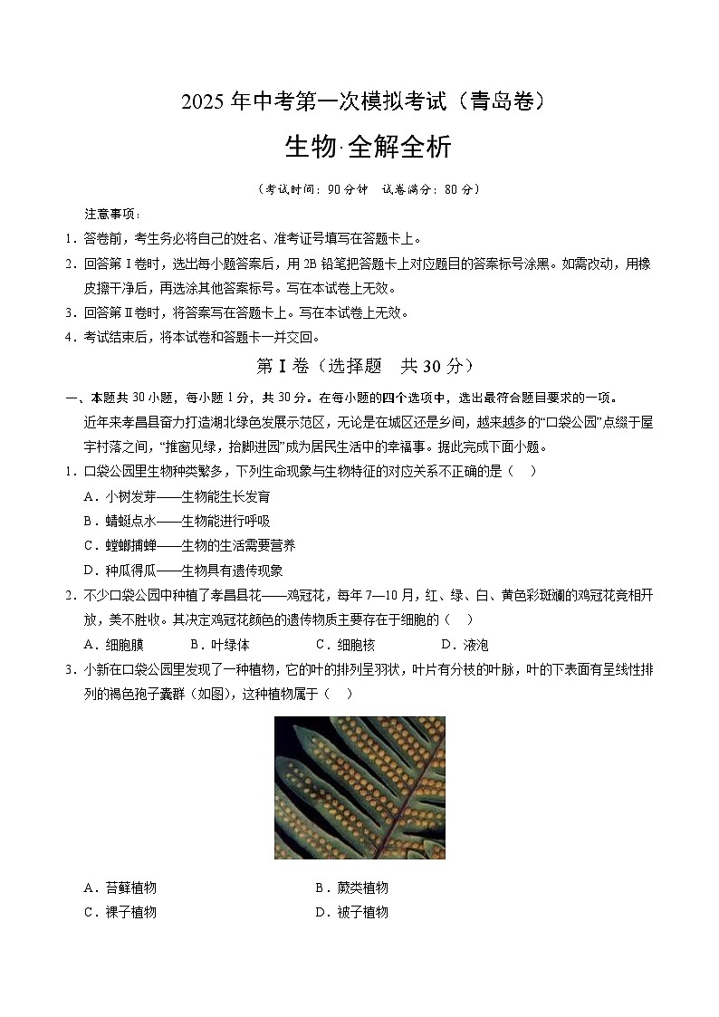 2025年中考第一次模拟考试卷：生物（青岛卷）（解析版）第1页