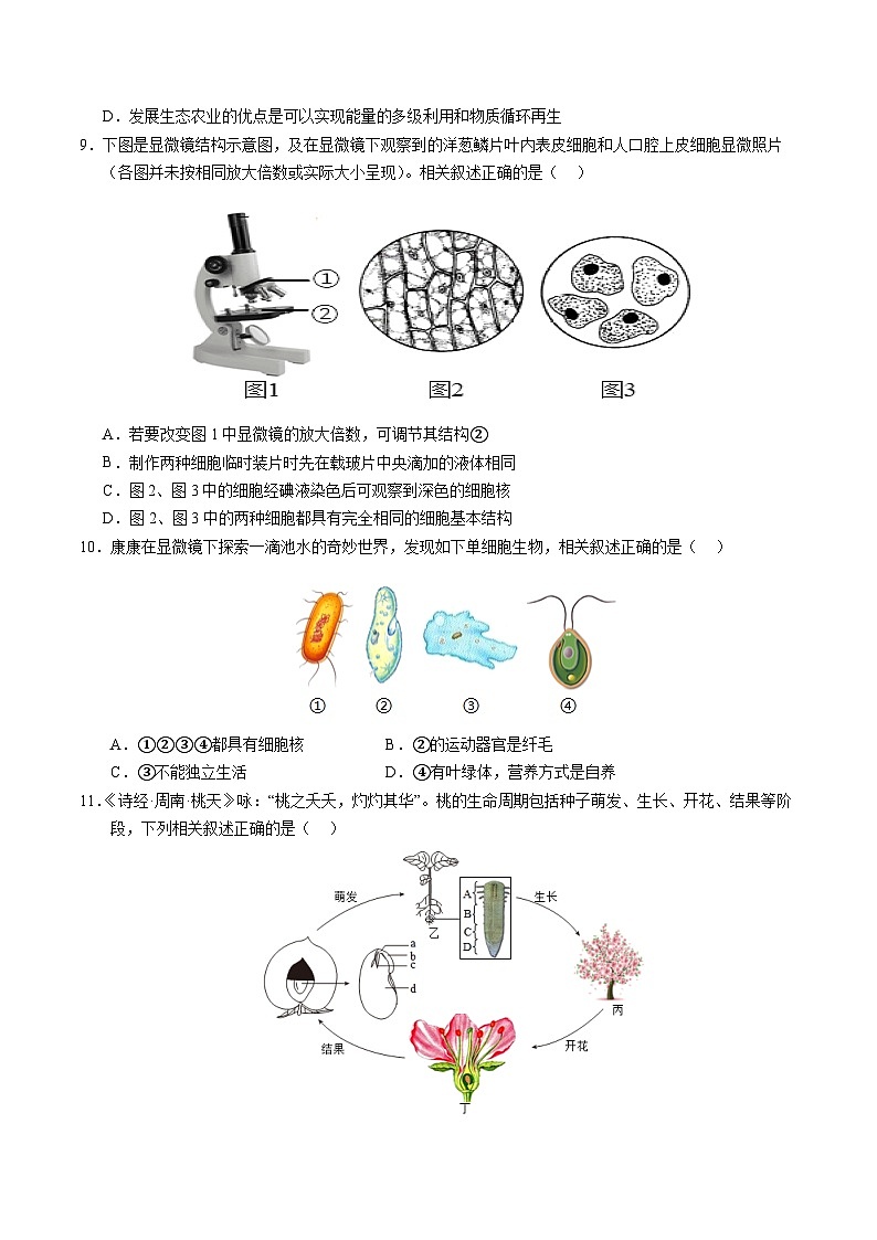 2025年中考第一次模拟考试卷：生物（青岛卷）（原卷版）第3页