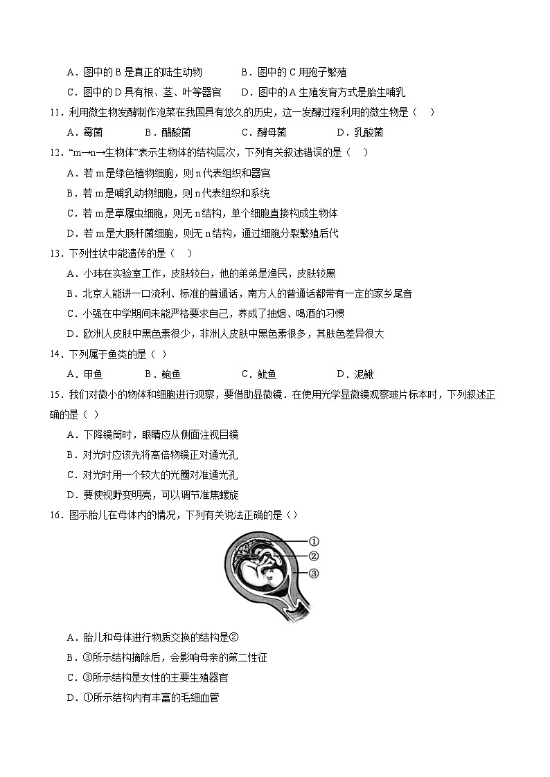2025年中考第一次模拟考试卷：生物（长沙卷）（原卷版）第3页
