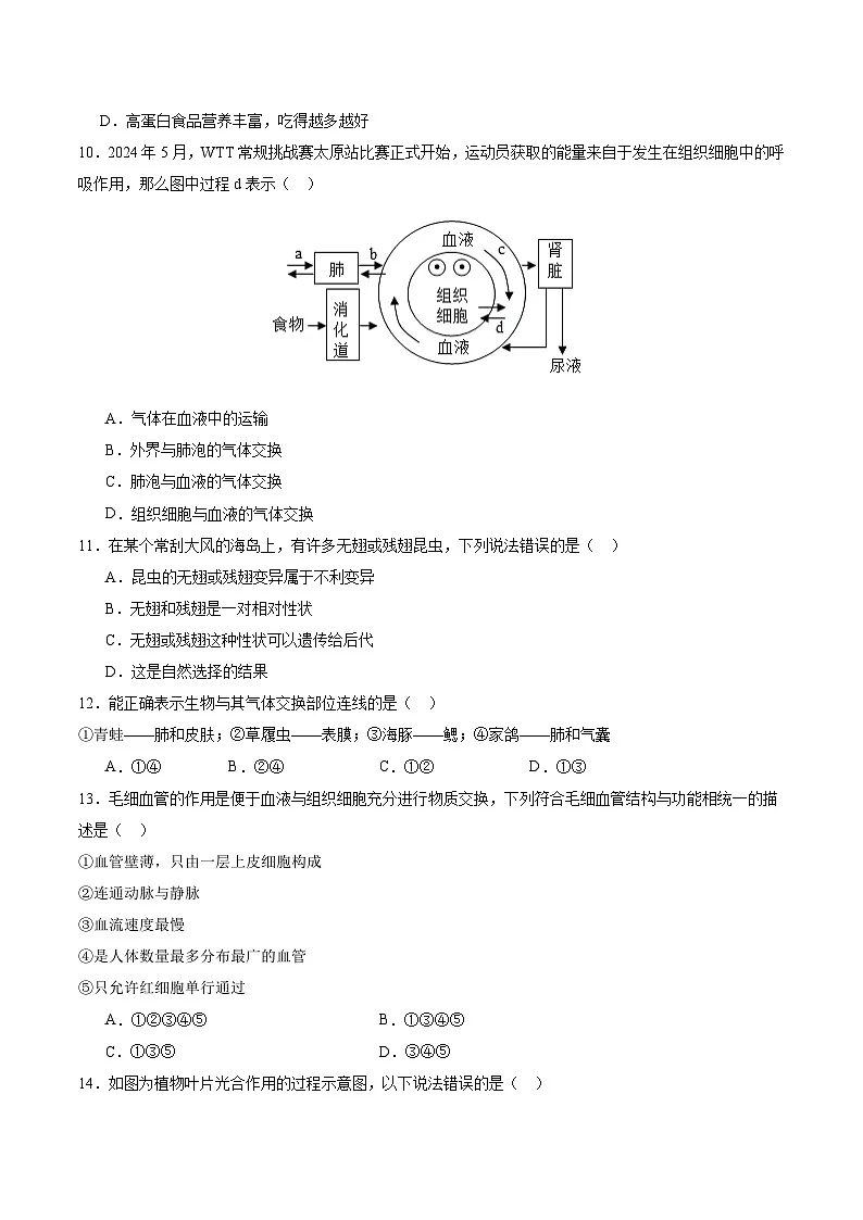 2025年中考第一次模拟考试卷：生物（广东省卷）（原卷版）第3页