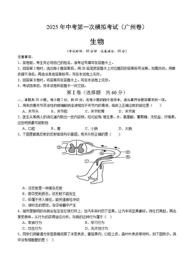 2025年中考第一次模拟考试卷：生物（广州卷）（原卷版）第1页