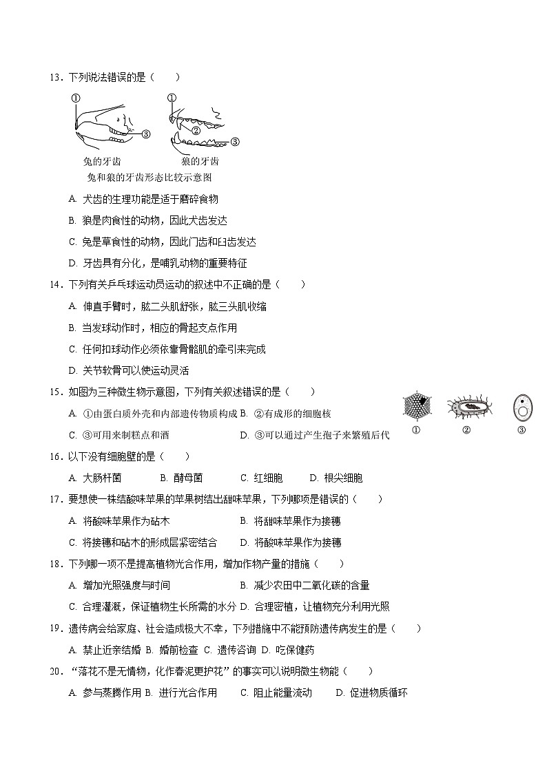 2025年中考第一次模拟考试卷：生物（重庆卷）（原卷版）第3页