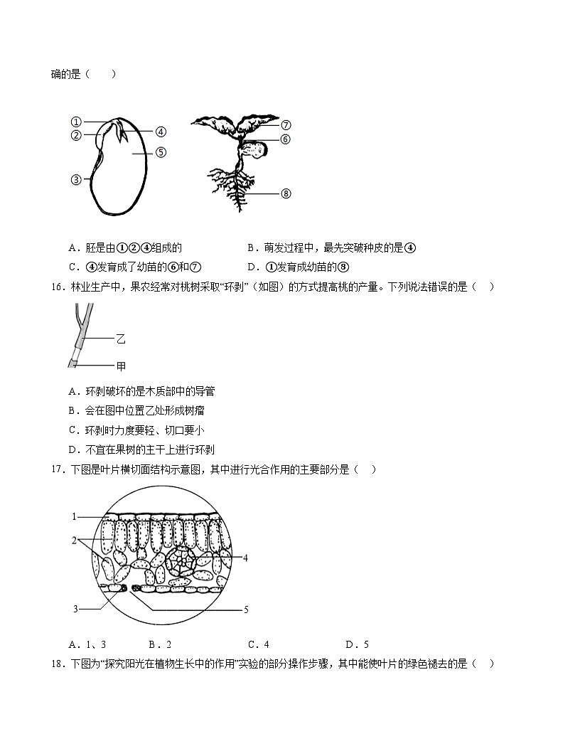 2025年中考第一次模拟考试卷：生物（南京卷2）（原卷卷2）第3页
