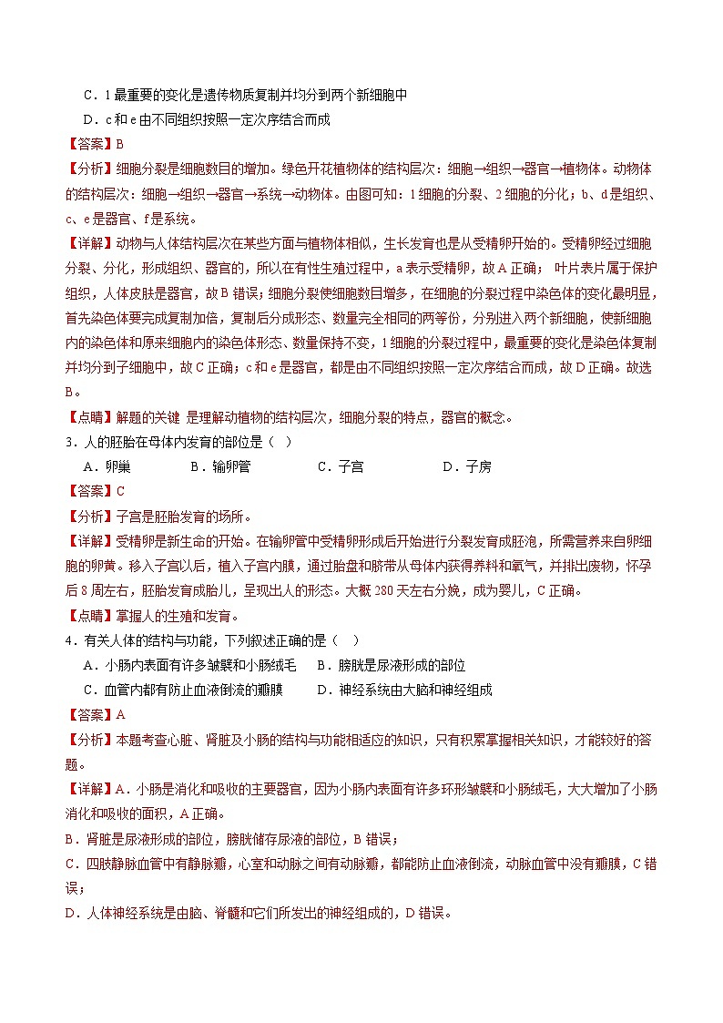 2025年中考第一次模拟考试卷：生物（甘肃卷）（解析版）第2页