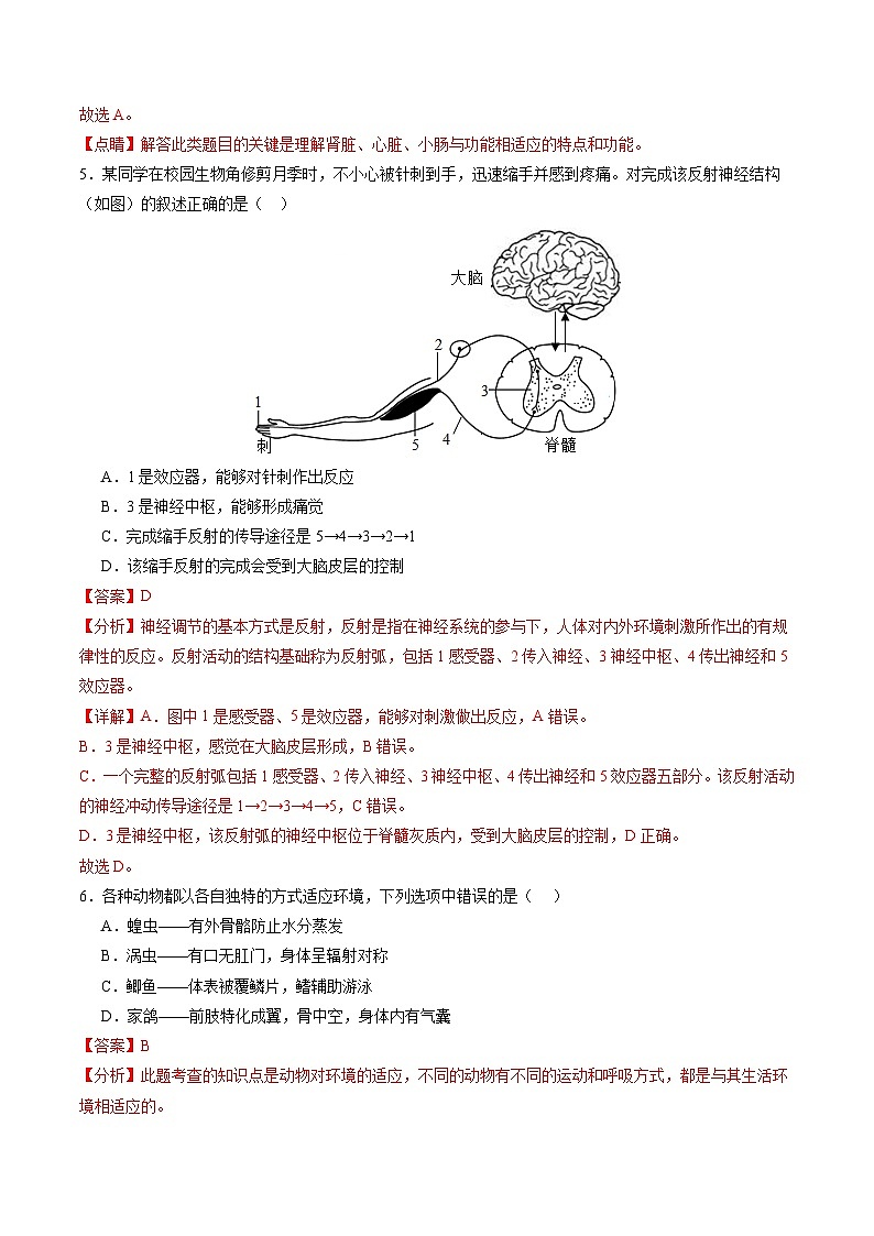 2025年中考第一次模拟考试卷：生物（甘肃卷）（解析版）第3页