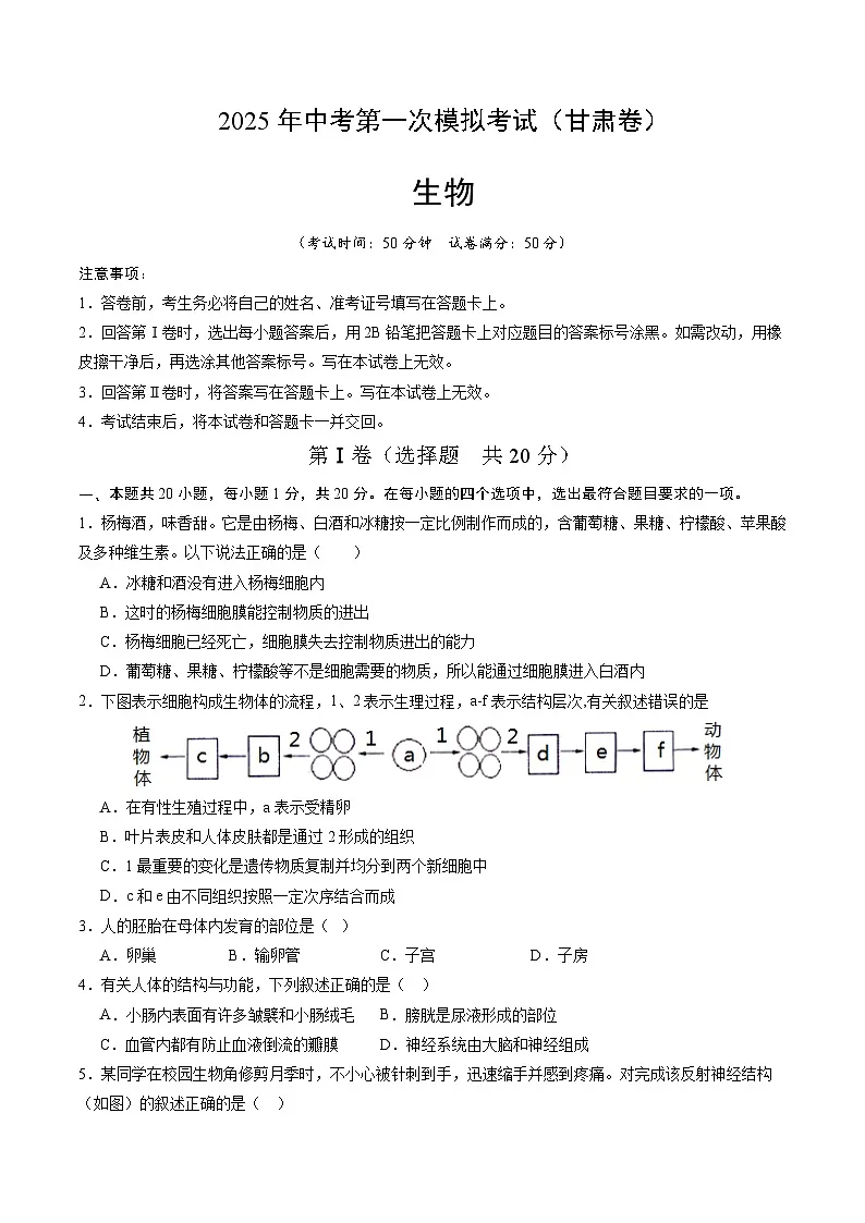 2025年中考第一次模拟考试卷：生物（甘肃卷）（原卷版）第1页