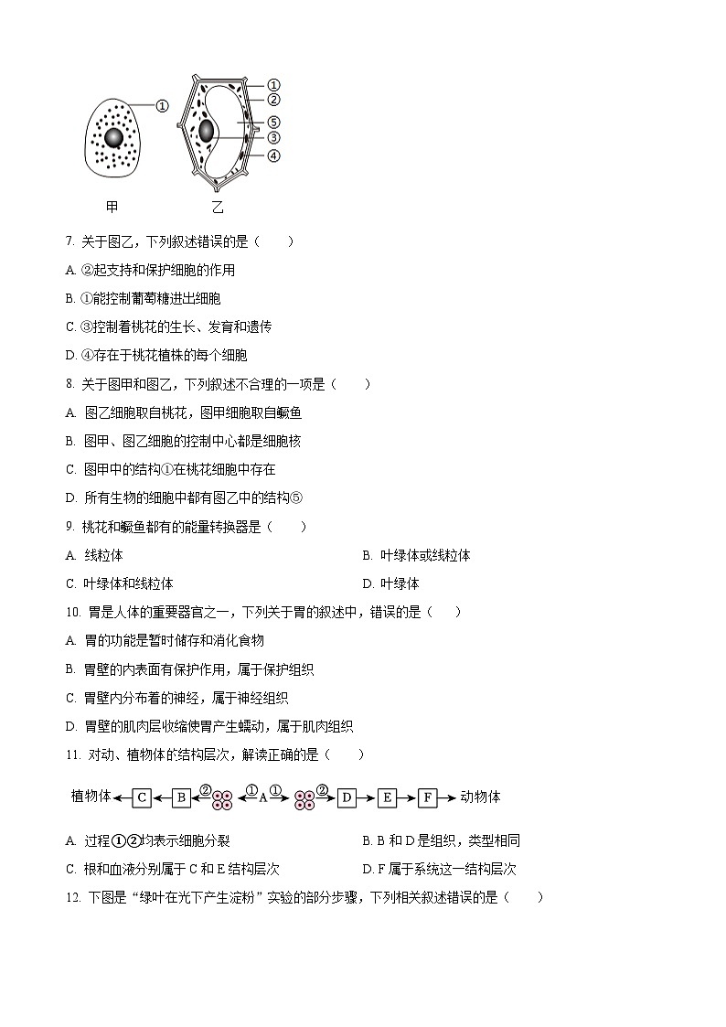 安徽淮南市东部地区2024-2025学年七年级上学期期末生物试题（原卷版+解析版）第2页