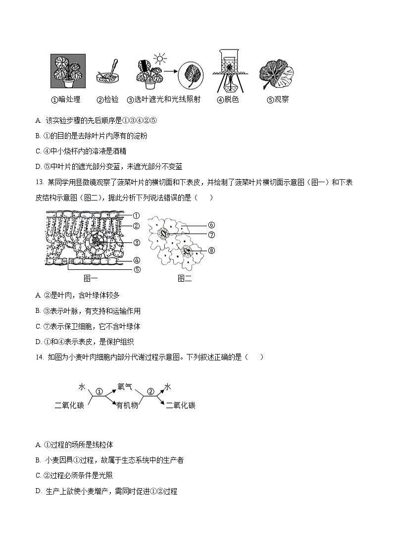 安徽淮南市东部地区2024-2025学年七年级上学期期末生物试题（原卷版+解析版）第3页