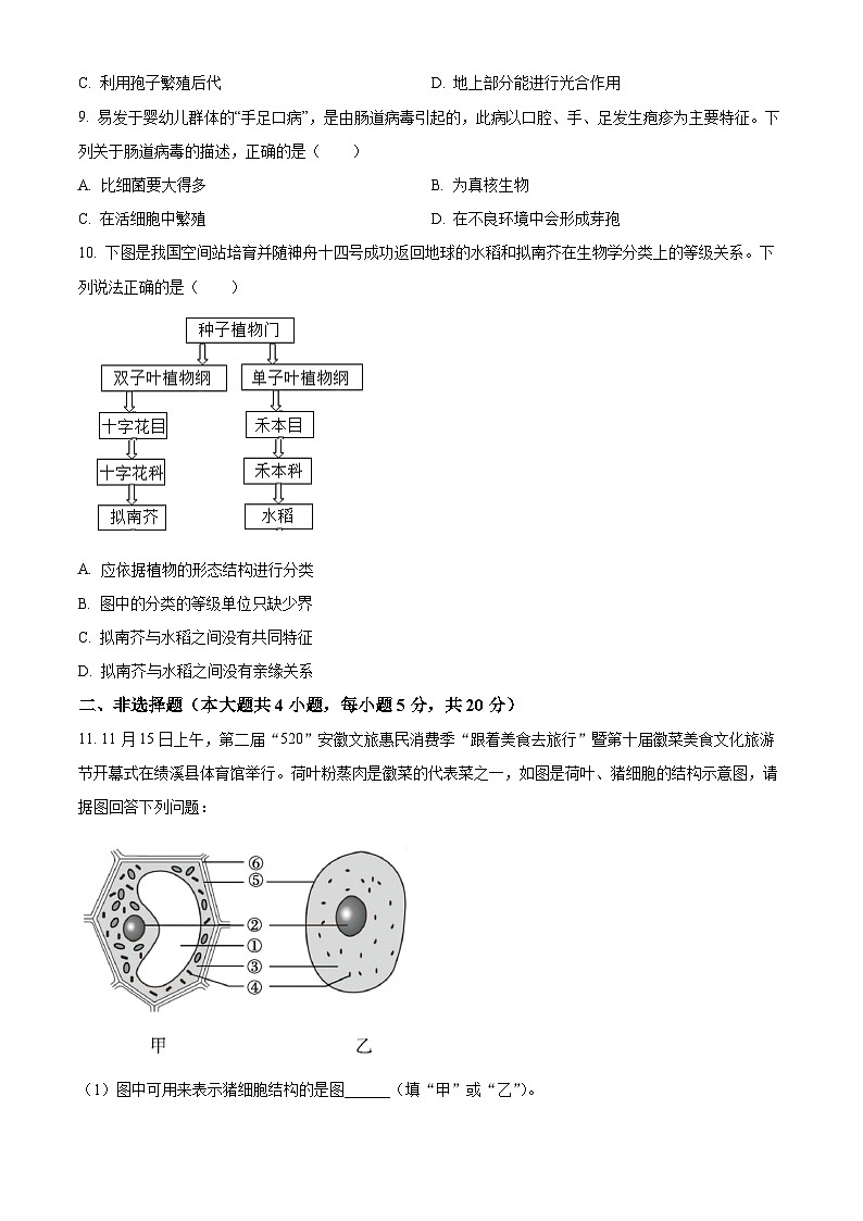 安徽省亳州市谯城区2024-2025学年七年级上学期期末生物试题（原卷版+解析版）第3页
