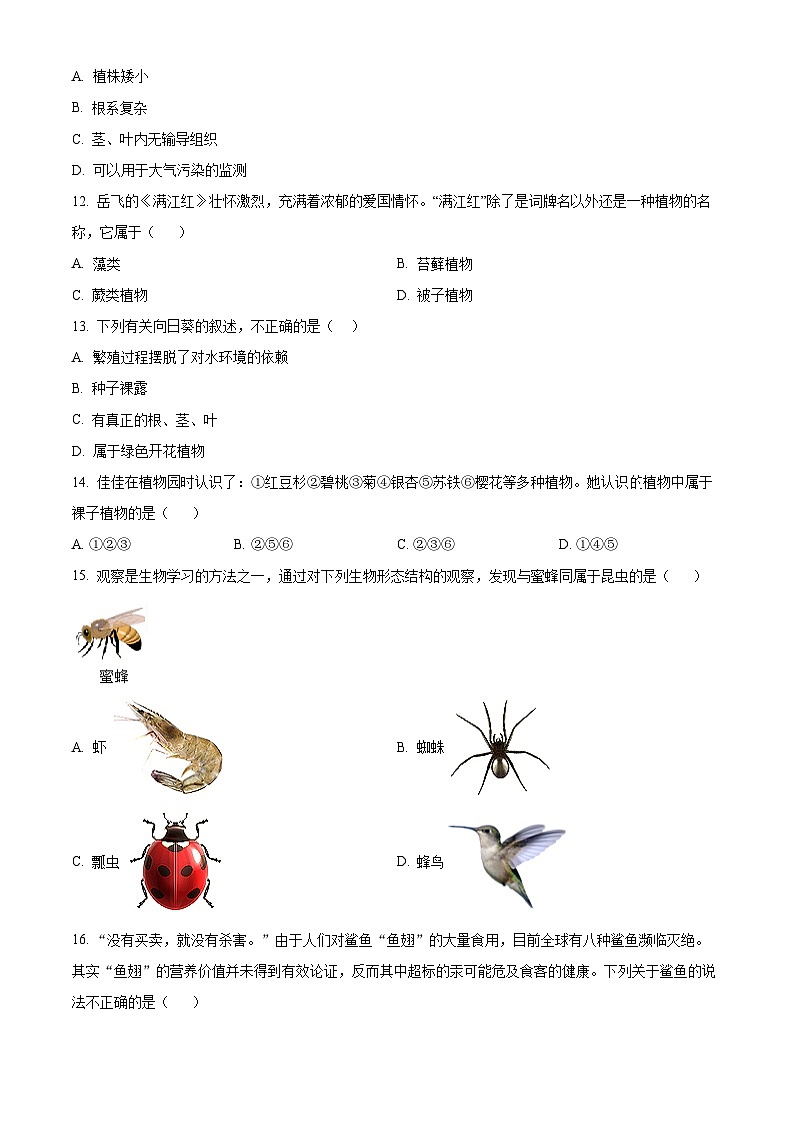 安徽省滁州市全椒县2024-2025学年七年级上学期期末生物试题（原卷版+解析版）第3页