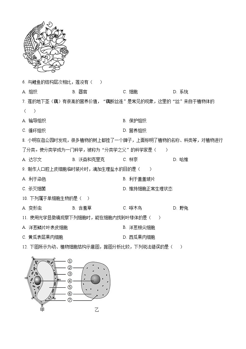 广东省河源市连平县2024-2025学年七年级上学期期末生物试题（原卷版+解析版）第2页
