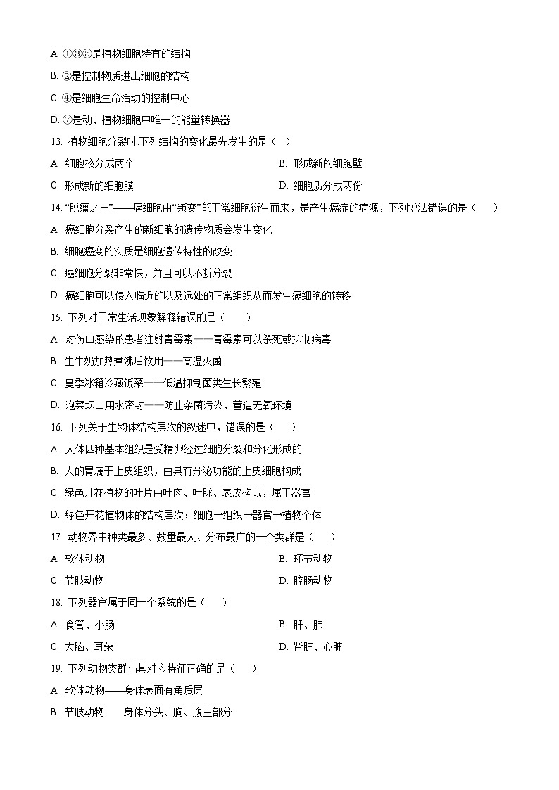 广东省河源市连平县2024-2025学年七年级上学期期末生物试题（原卷版+解析版）第3页