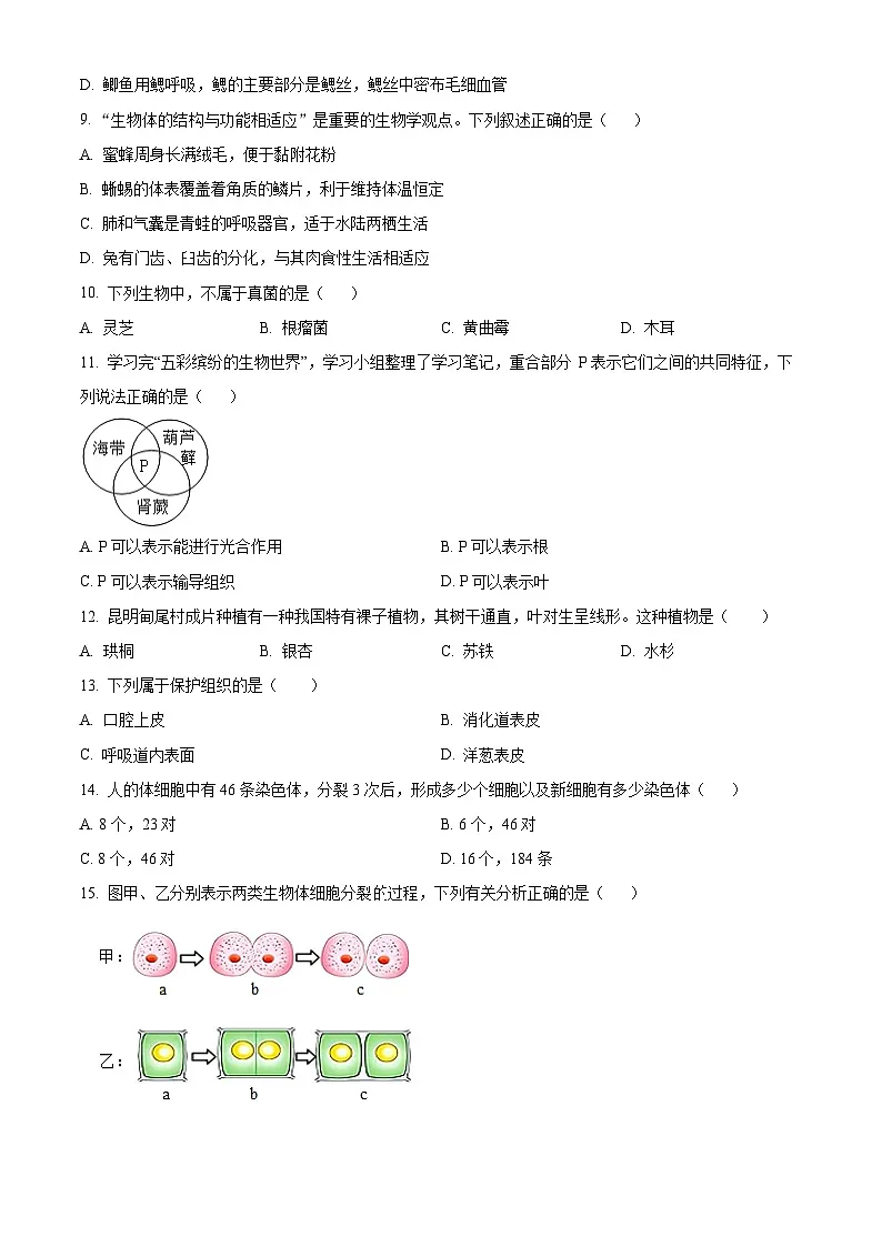 河北省邯郸市磁县2024—2025学年七年级上学期期末生物试题（原卷版+解析版）第2页