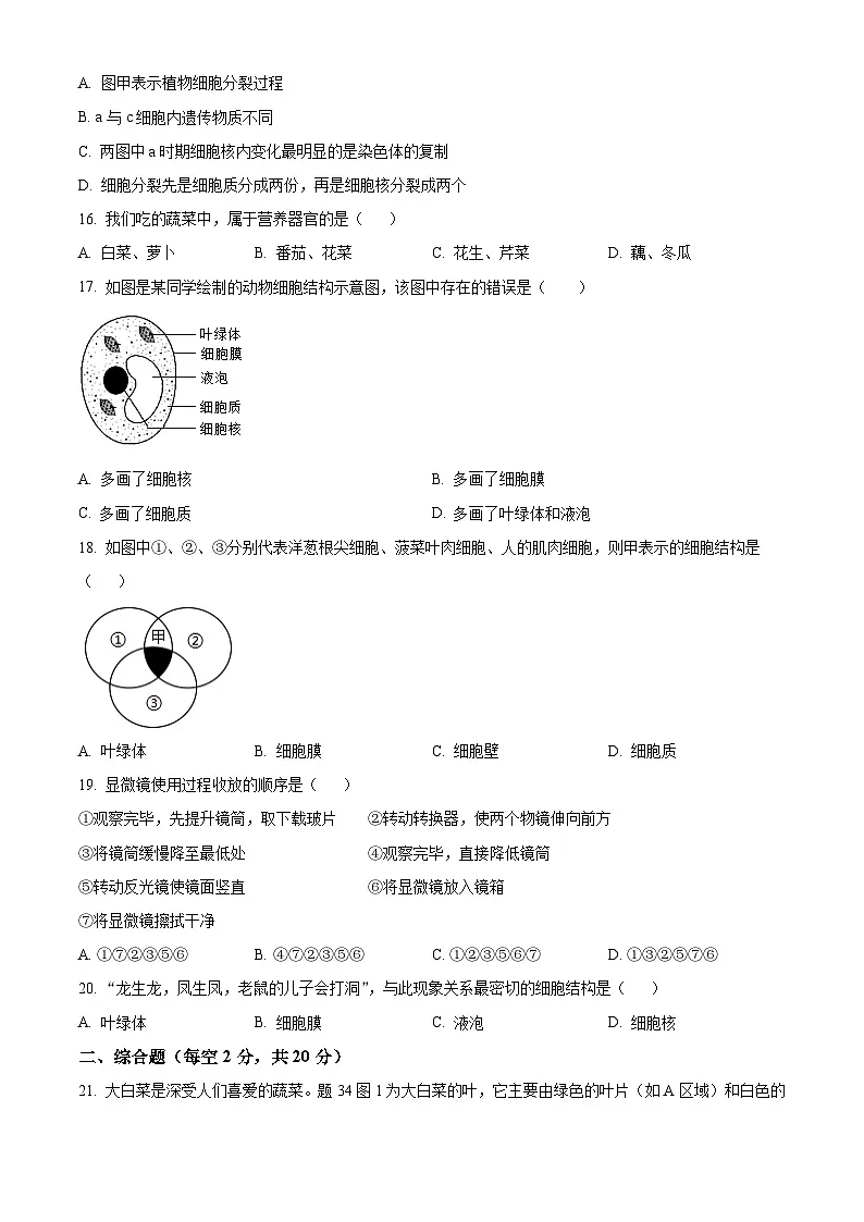 河北省邯郸市磁县2024—2025学年七年级上学期期末生物试题（原卷版+解析版）第3页