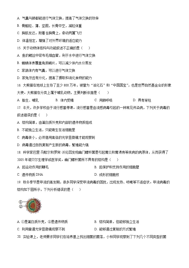 河北省邯郸市大名县2024-2025学年七年级上学期期末生物试题（原卷版+解析版）第3页