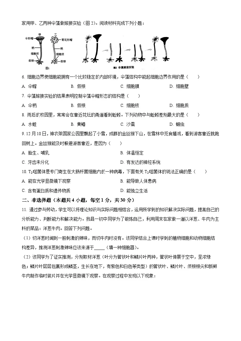 湖北省黄石市阳新县2024-2025学年七年级上学期期末生物试题（原卷版+解析版）第2页