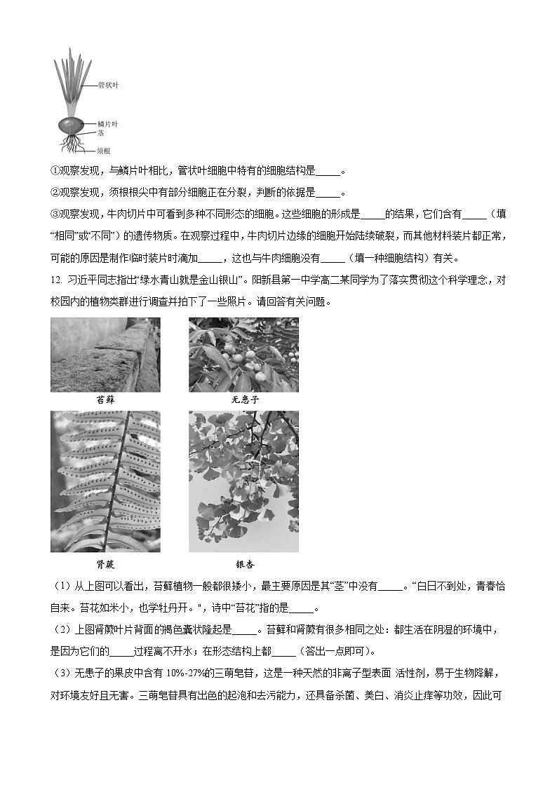 湖北省黄石市阳新县2024-2025学年七年级上学期期末生物试题（原卷版+解析版）第3页