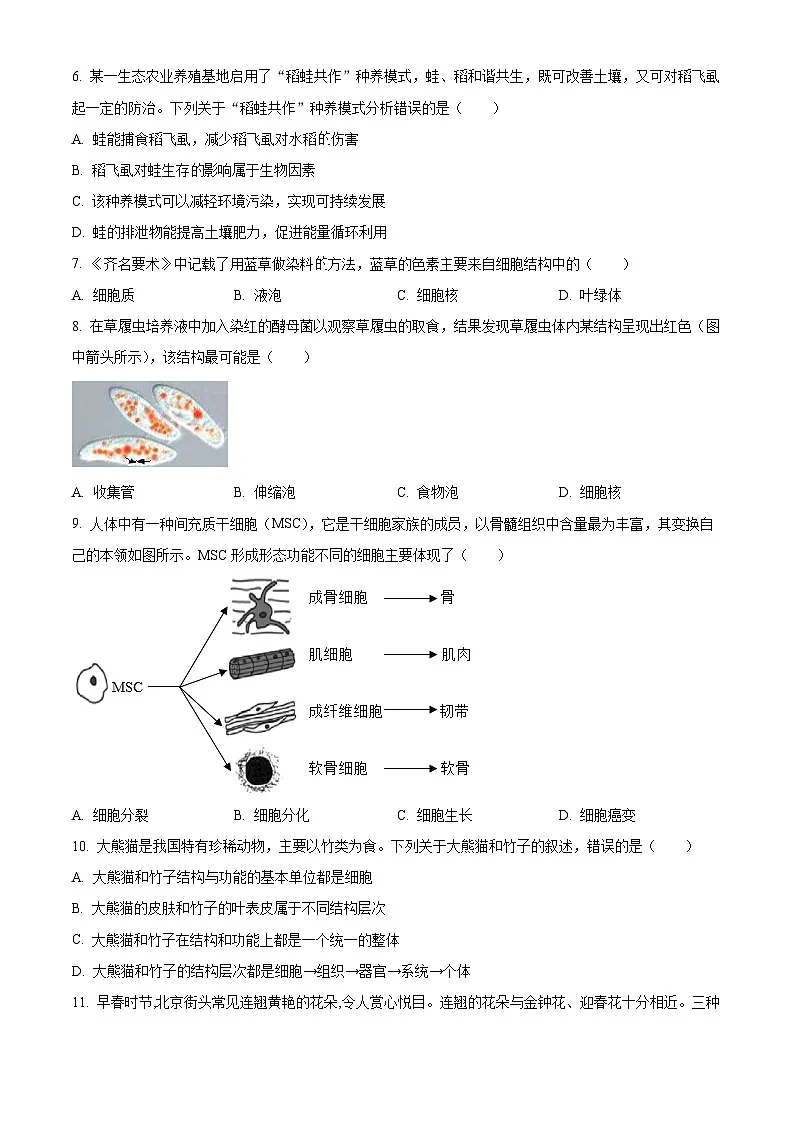 江苏省南通市启东市2024-2025学年七年级上学期期末生物试题（原卷版+解析版）第2页