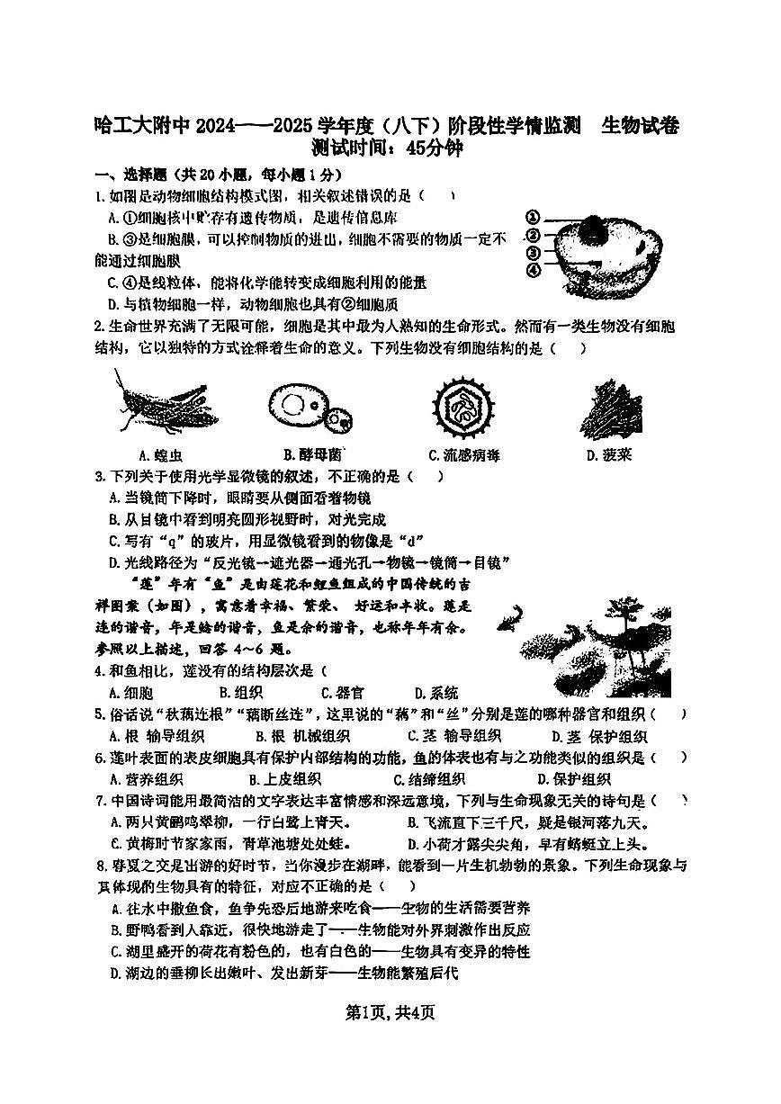 2025年哈尔滨工业大学附属中学八年级（下）3月月考生物试题及答案0401第1页