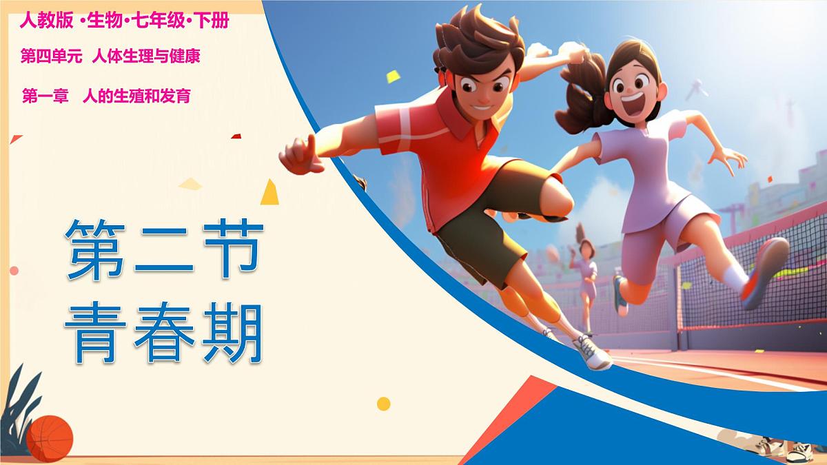 初中 生物 人教版（2024） 七年级下册（2024） 第四单元第二节 青春期 课件第1页